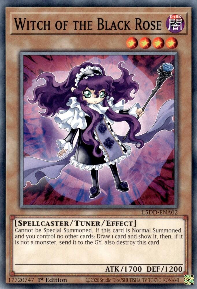 Witch of the Black Rose