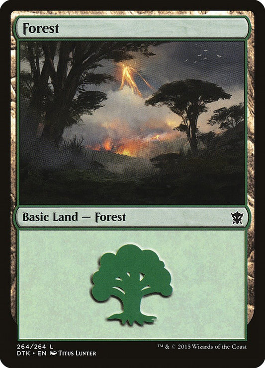 Forest (264)